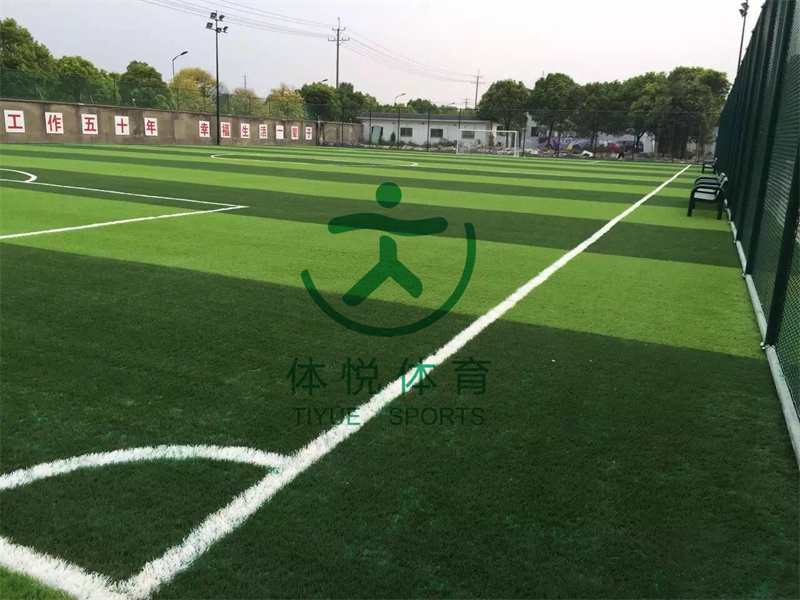4.人造草足球場.jpg
